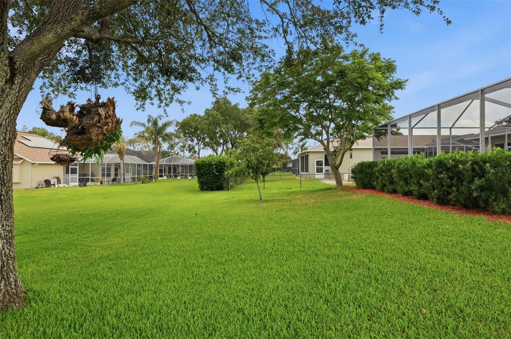 14228 Presteign Lane Spring Hill, FL 34609 - Photo 77 of 89 a view of a park with large trees