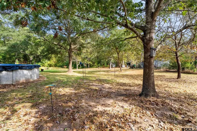 a view of a yard with trees