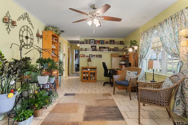 a living room with furniture and a potted plant