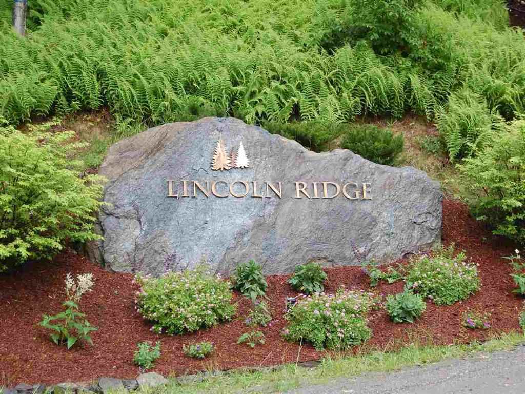 3 Lincoln Ridge Road, Unit 3 Warren, VT 05674 - Photo 1 of 10