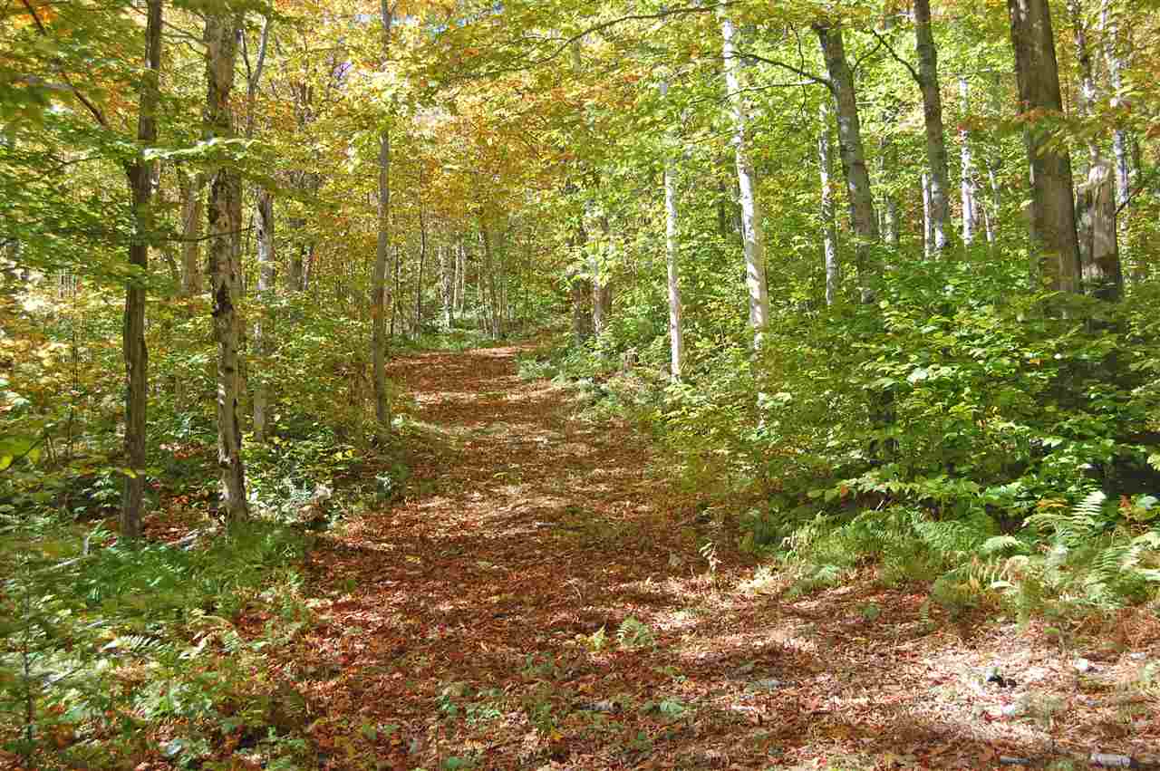 3 Lincoln Ridge Road, Unit 3 Warren, VT 05674 - Photo 2 of 10