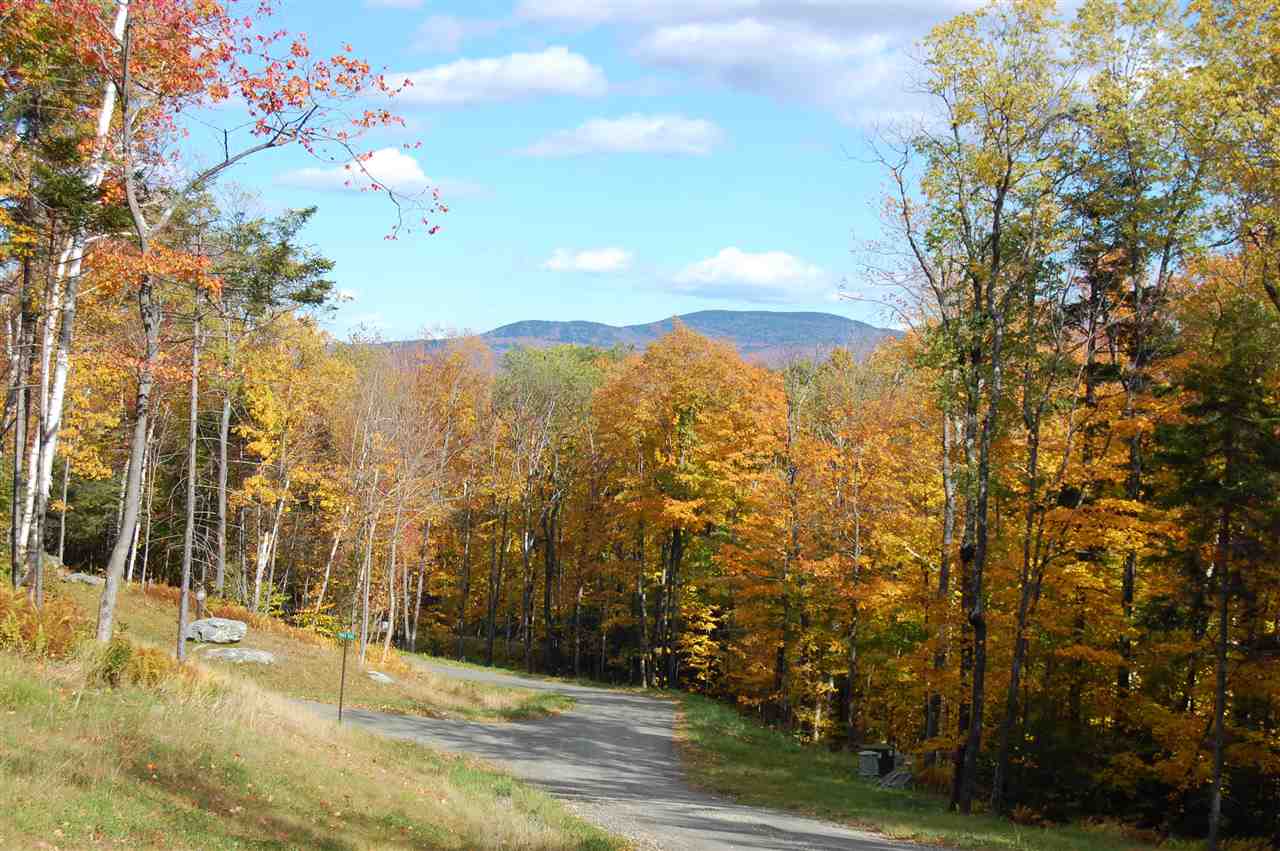 3 Lincoln Ridge Road, Unit 3 Warren, VT 05674 - Photo 5 of 10