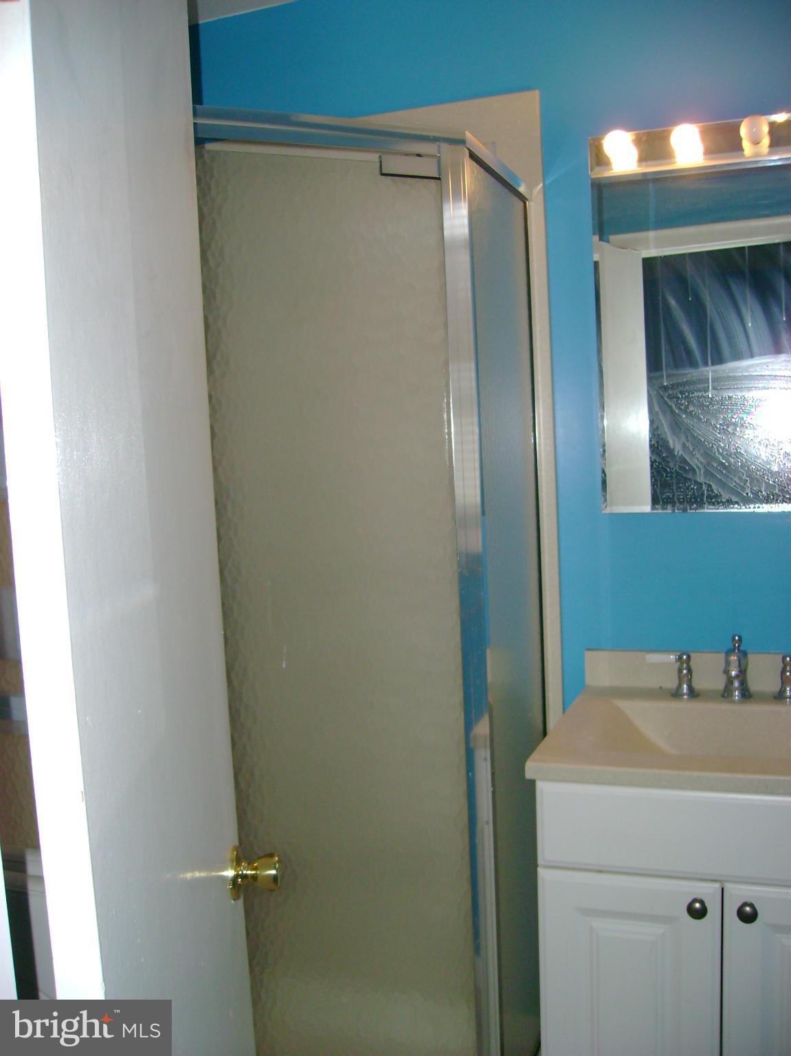 3036 Tarpon Road Riva, MD 21140 - Photo 14 of 25 Bath (Master)