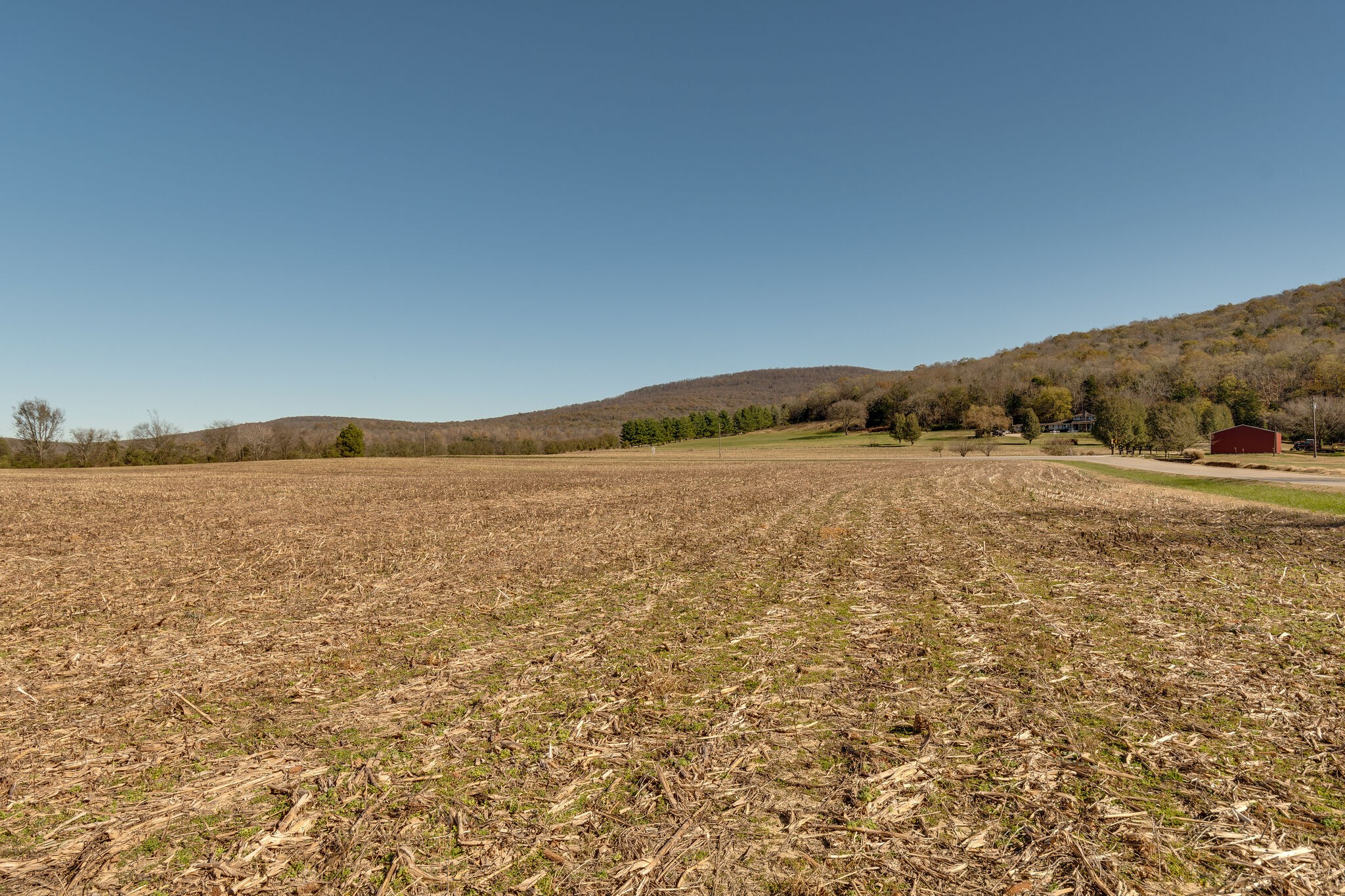 3935 Buncombe Road Belvidere, TN 37306 - Photo 34 of 46 Gallery Image 34