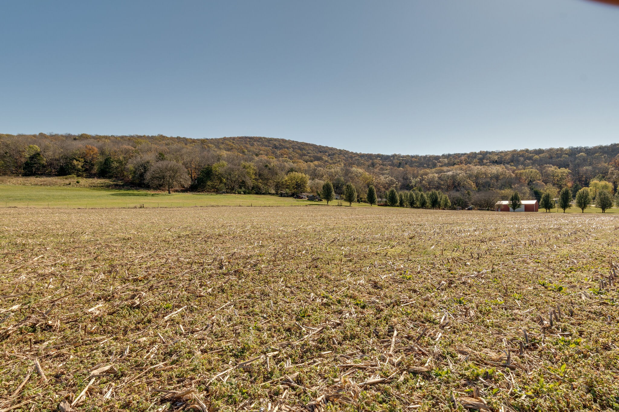 3935 Buncombe Road Belvidere, TN 37306 - Photo 35 of 46 Gallery Image 35