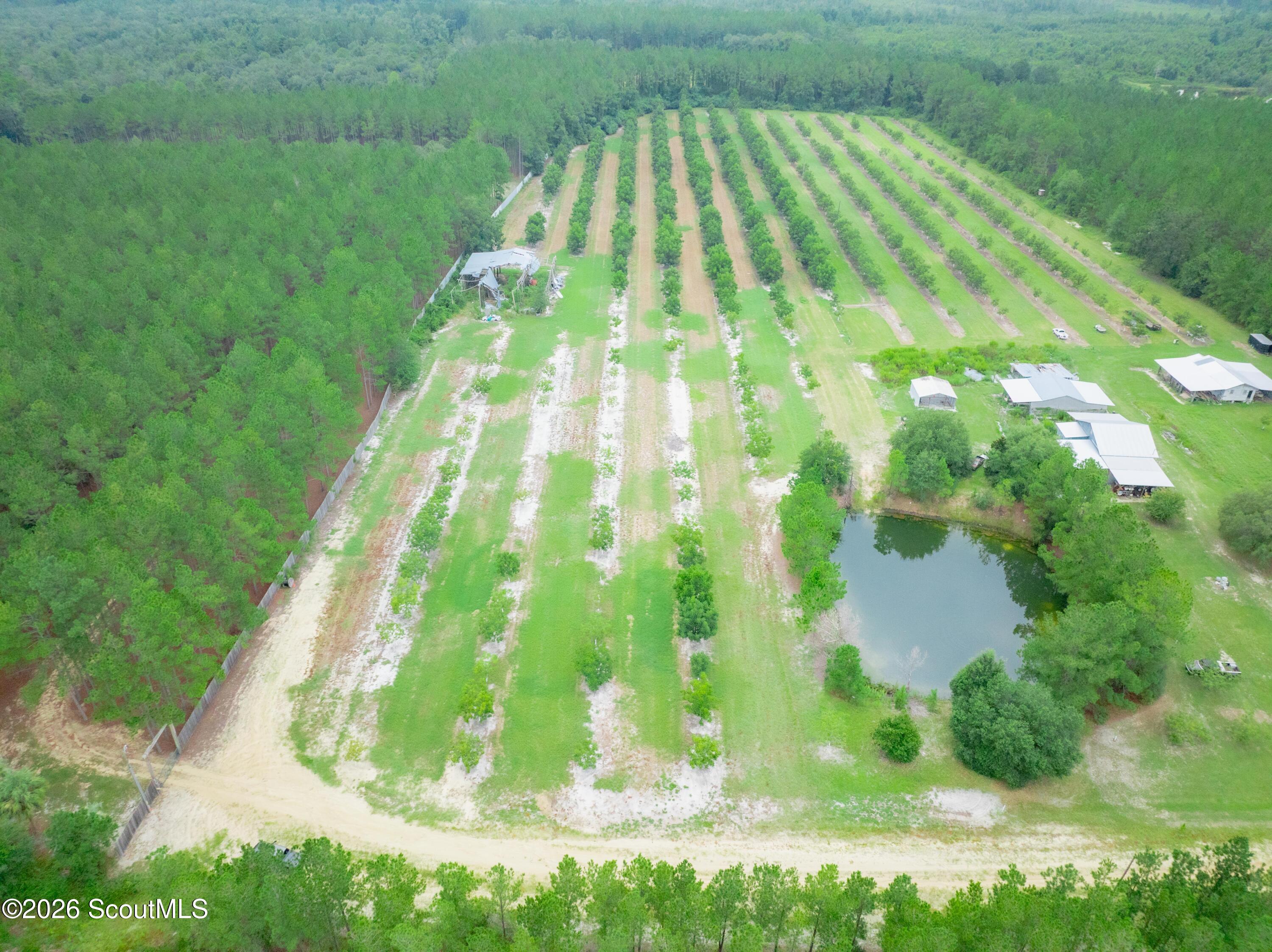 0 Deerfield Road Blackshear, GA 31516 - Photo 9 of 20 DJI_0336-HDR