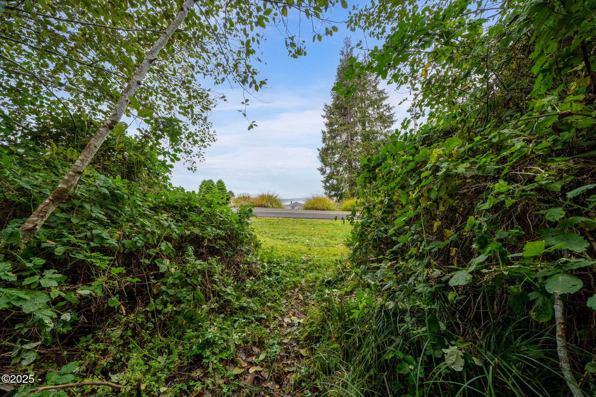 1900 Rowe Street Wheeler, OR 97147 - Photo 15 of 17 dsc01383-edit