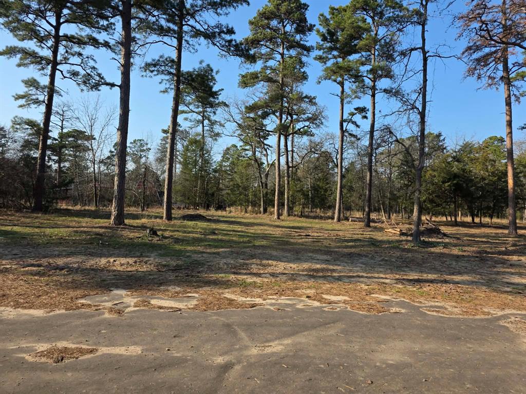 Lot 36-37 King Charles Road Scroggins, TX 75480 - Photo 8 of 14 a view of a park with large trees