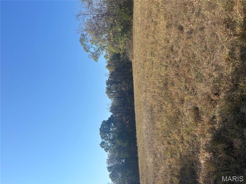 3 Mo-72 Fredericktown, MO 63645 - Photo 6 of 9