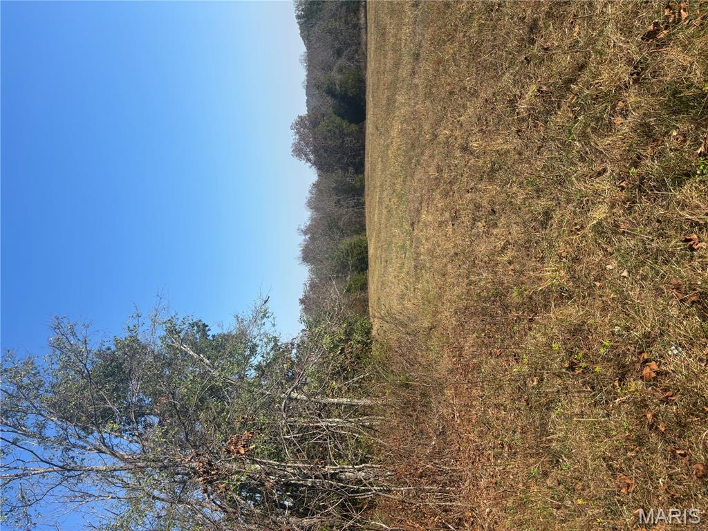 3 Mo-72 Fredericktown, MO 63645 - Photo 8 of 9