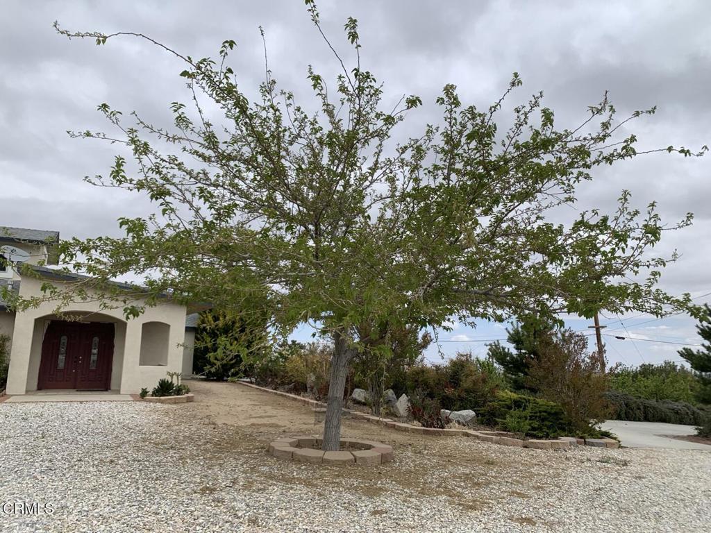 9020 Pionero Road Pinon Hills, CA 92372 - Photo 70 of 71 29