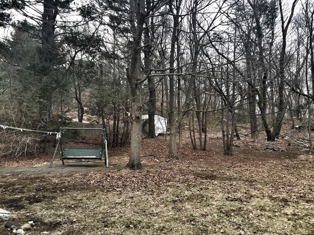 25 Moon Road Lynn, MA 01904 - Photo 25 of 27 Gallery Image 25