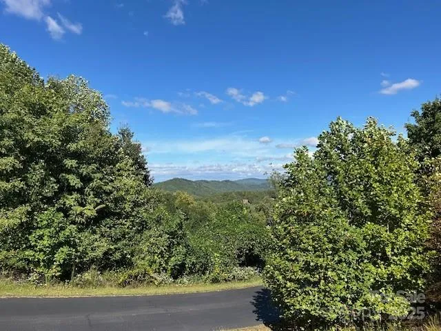 $19,500 | 0 Tahawus Drive, Bostic, NC 28018