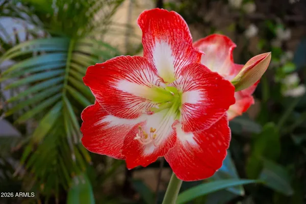 $679,900 | 3643 North Greylock Circle, Mesa, AZ 85215