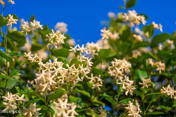 $679,900 | 3643 North Greylock Circle, Mesa, AZ 85215