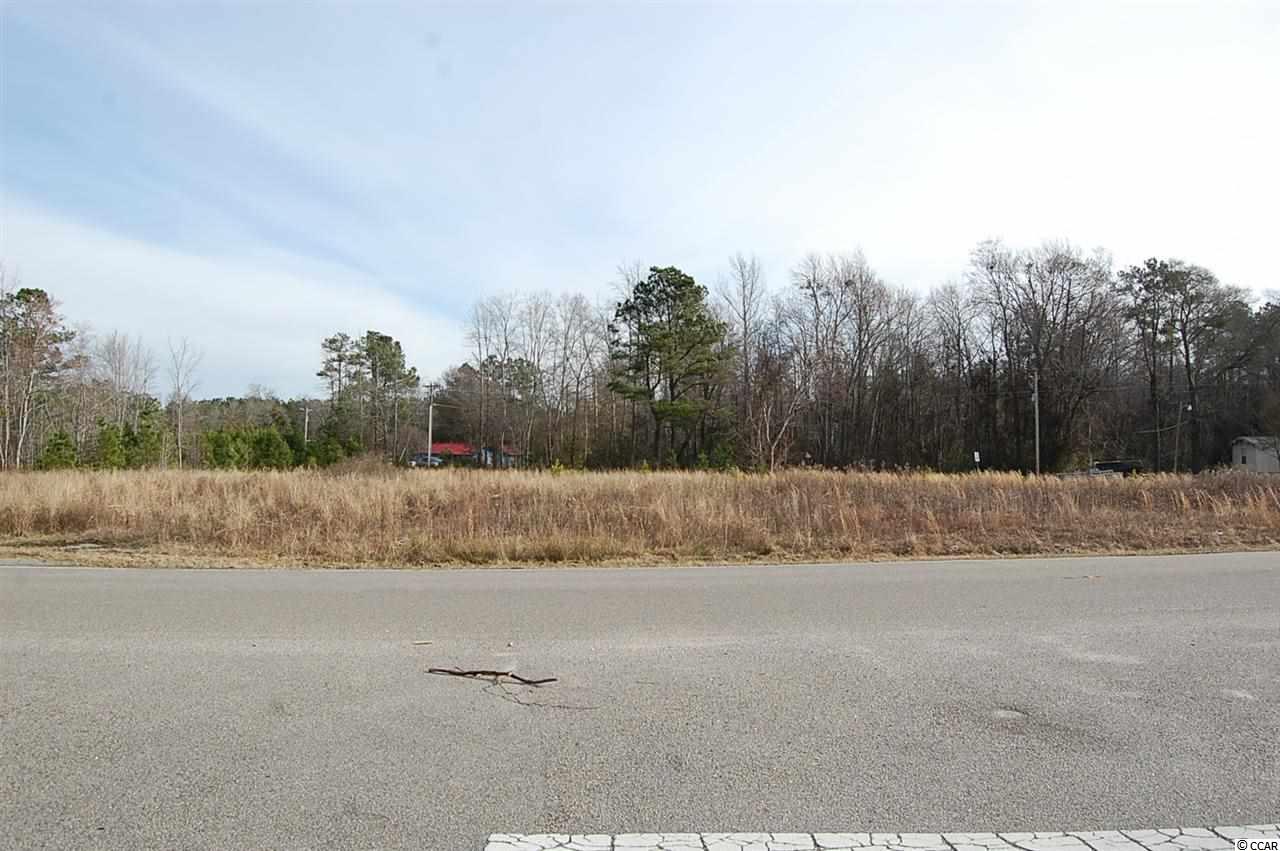 6150 Red Bluff Road Loris, SC 29569 - Photo 3 of 10 Gallery Image 3