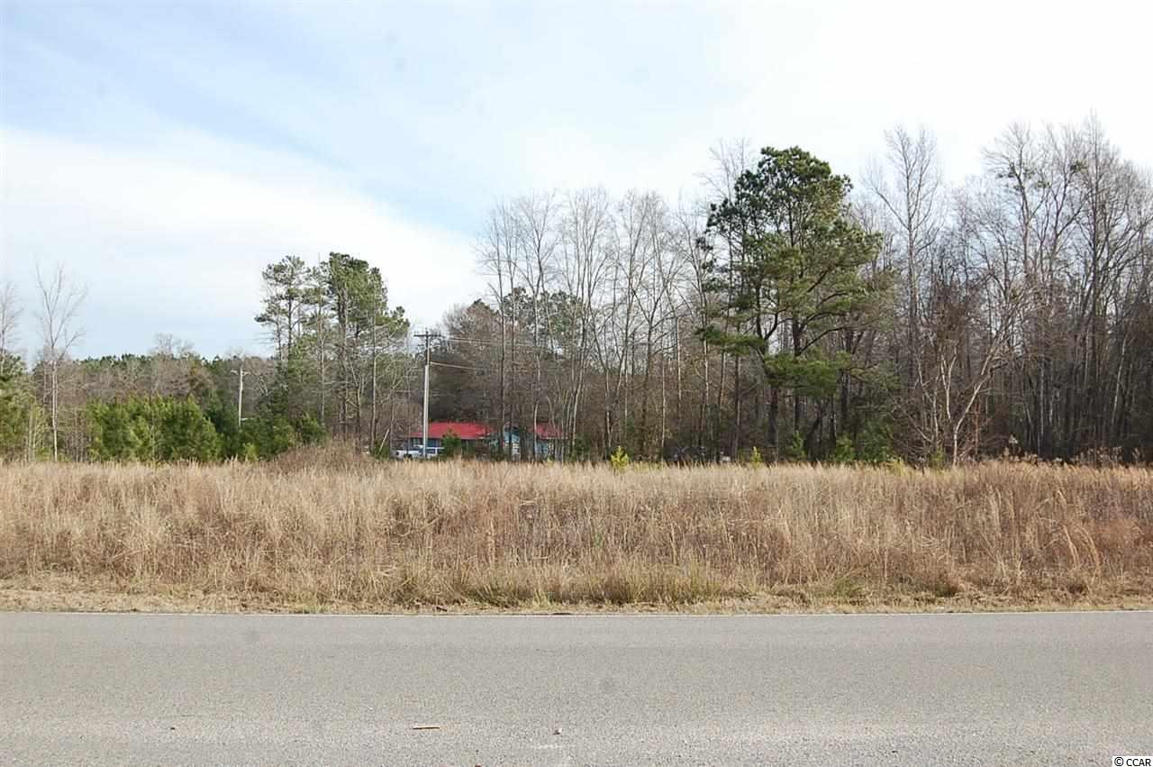 6150 Red Bluff Road Loris, SC 29569 - Photo 4 of 10 Gallery Image 4