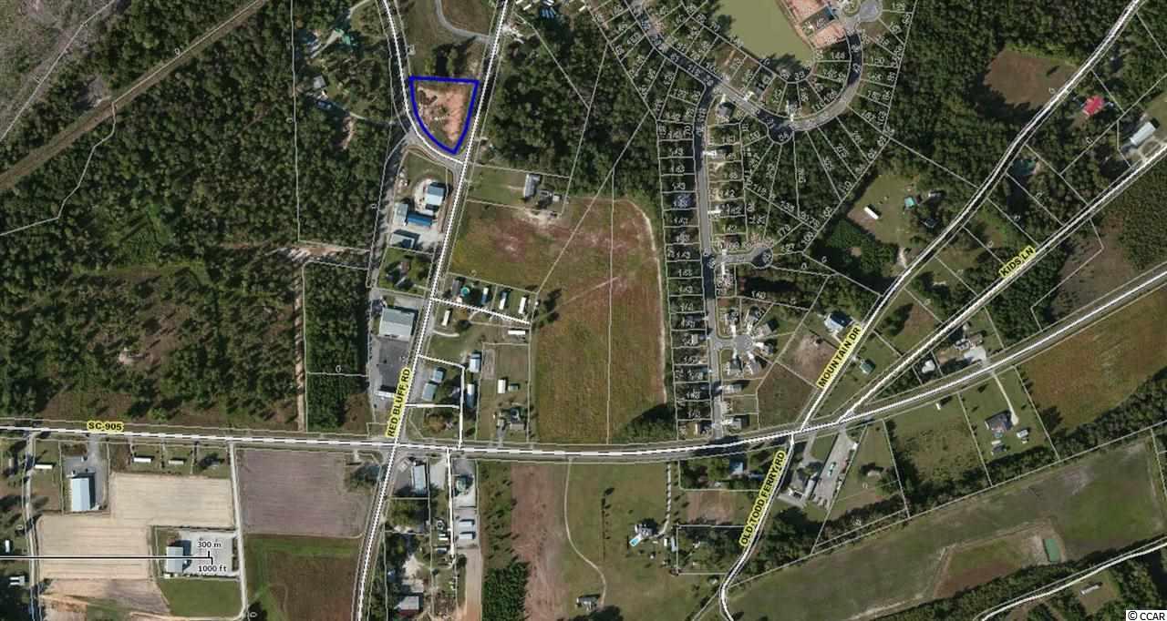 6150 Red Bluff Road Loris, SC 29569 - Photo 10 of 10 Gallery Image 10