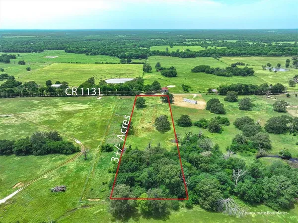 a view of a lush green field with lots of bushes