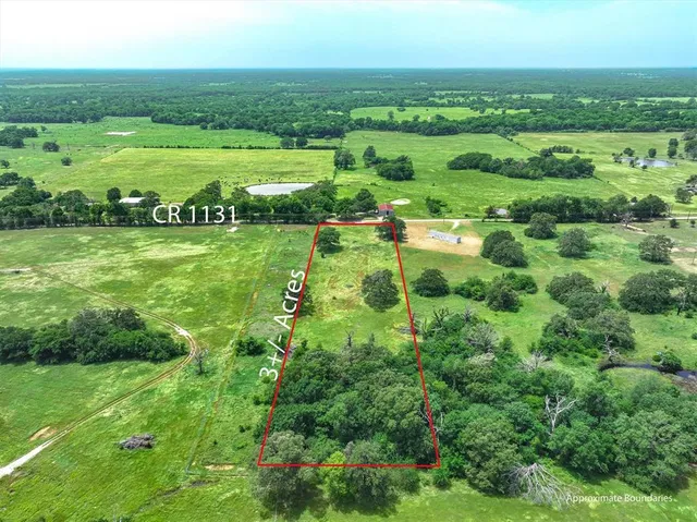 a view of a lush green field with lots of bushes