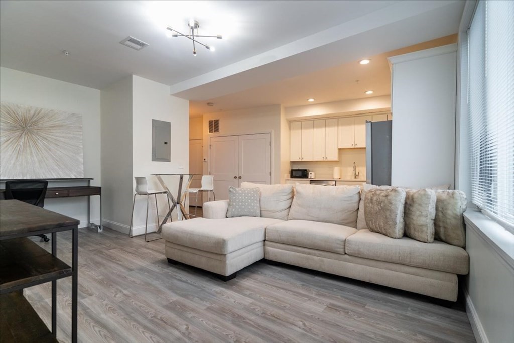 92 George Street, Unit 103 Boston, MA 02119 - Photo 4 of 33 Gallery Image 4