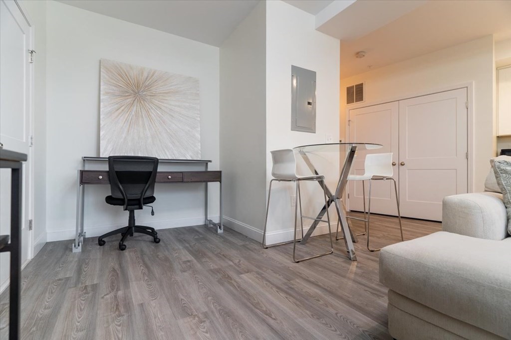 92 George Street, Unit 103 Boston, MA 02119 - Photo 6 of 33 Gallery Image 6