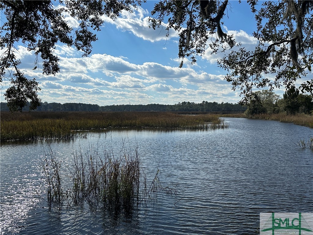 149 Burton Road Savannah, GA 31405 - Photo 5 of 7