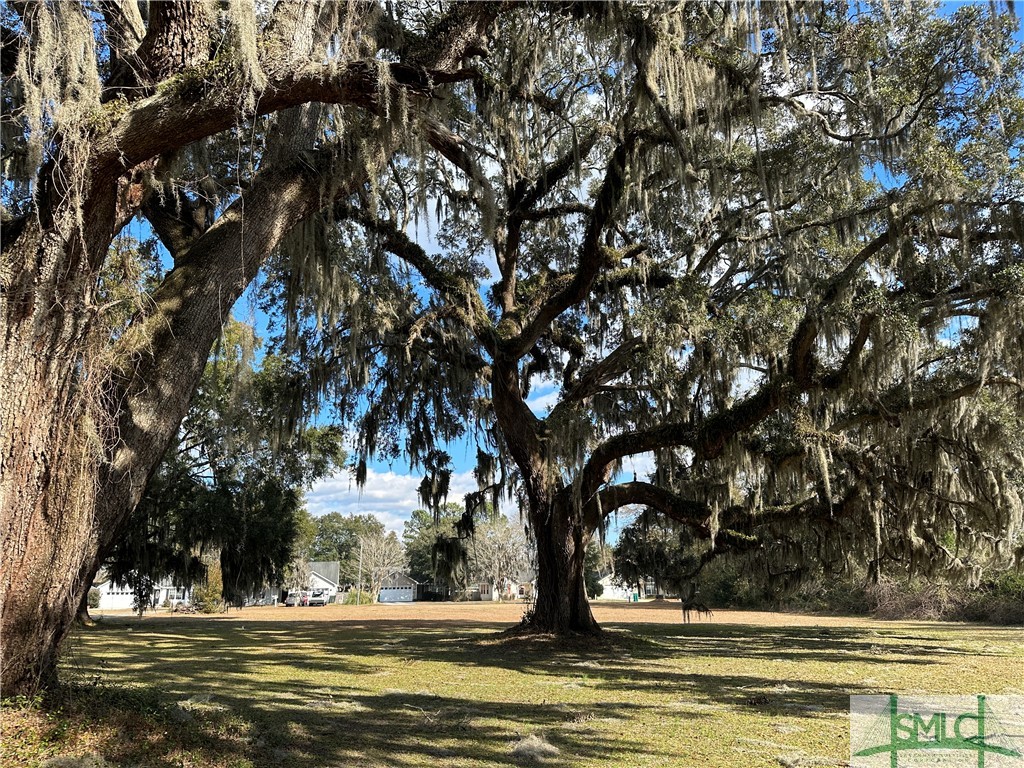 149 Burton Road Savannah, GA 31405 - Photo 6 of 7