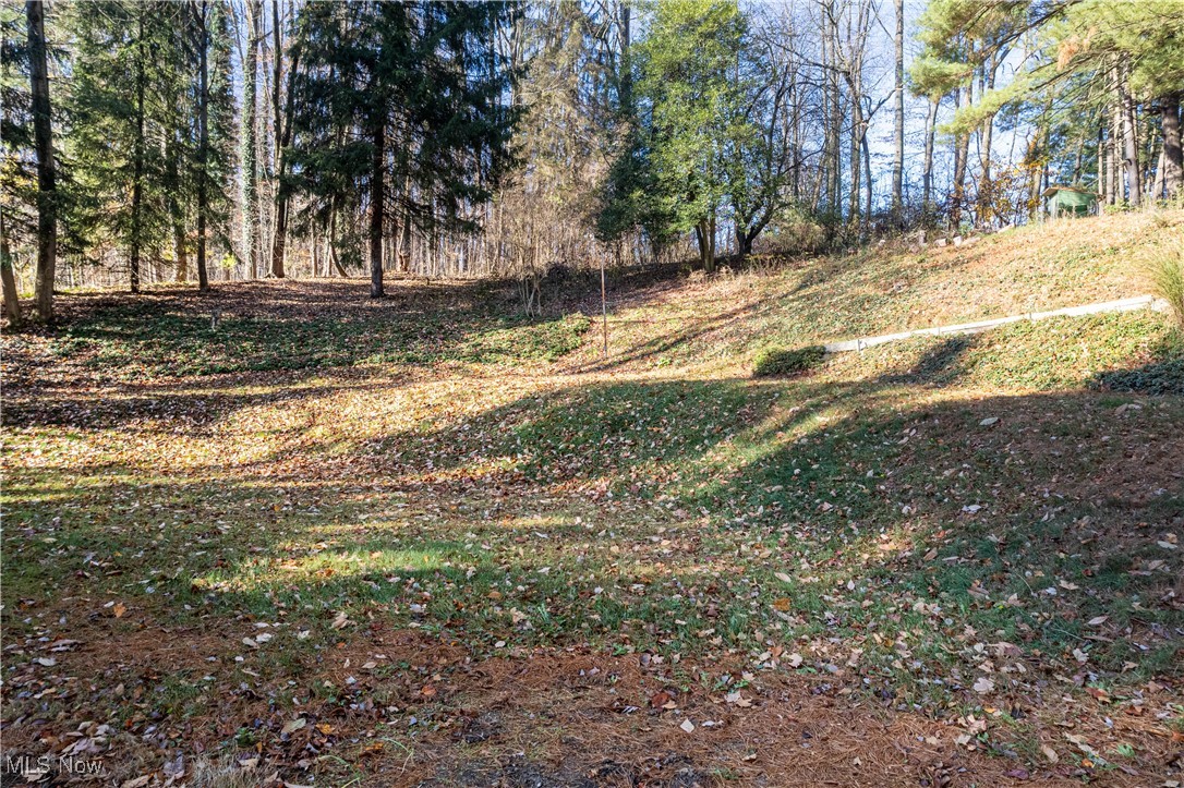7384 South Cleveland Massillon Road Clinton, OH 44216 - Photo 8 of 35 View of yard