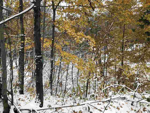 31.8-acres Seefeldt Road Wausaukee, WI 54177 - Photo 1 of 1 Woods