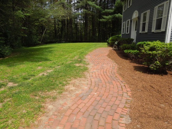 294 Rangeway Road Billerica, MA 01862 - Photo 20 of 28 a view of a yard with plants and large trees