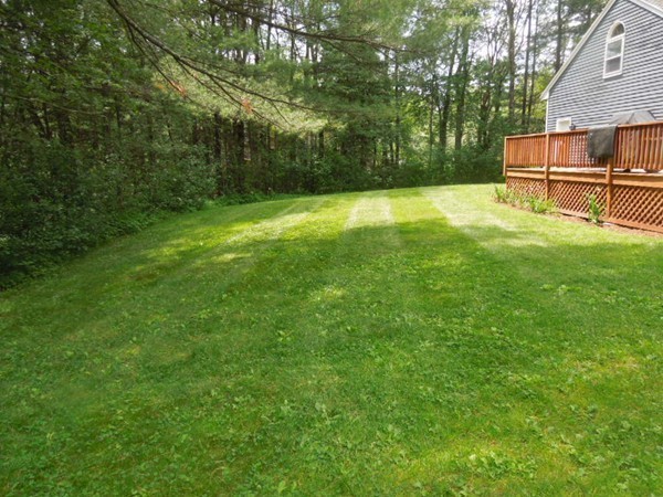 294 Rangeway Road Billerica, MA 01862 - Photo 22 of 28 a view of a backyard with a bench and trees
