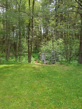 294 Rangeway Road Billerica, MA 01862 - Photo 26 of 28 a view of a lush green space
