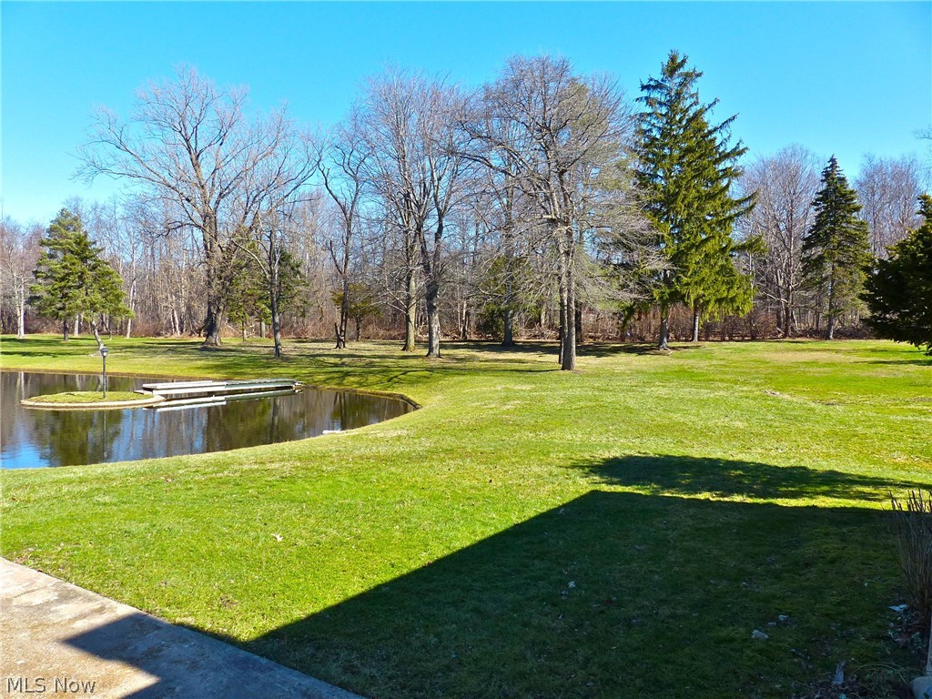 12623 Carter Road Painesville, OH 44077 - Photo 16 of 34 Gallery Image 16
