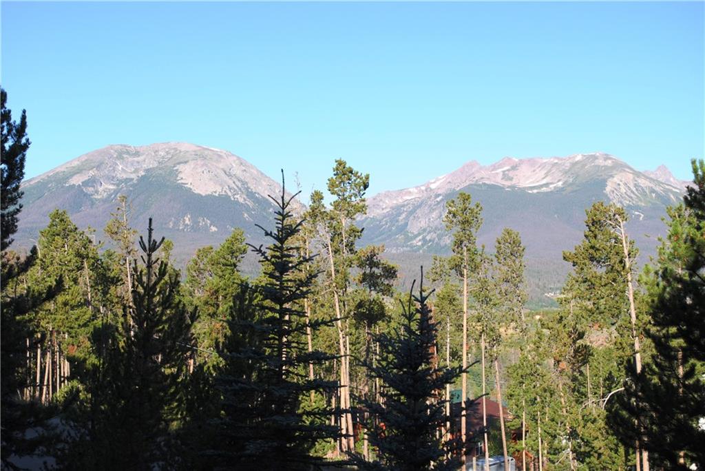 110 Evergreen Road, Unit B105 Dillon, CO 80435 - Photo 22 of 22 a view of a yard