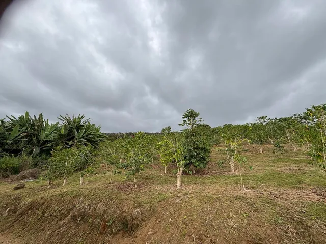 $175,000 | 82 Bruner Road, Captain Cook, HI 96704