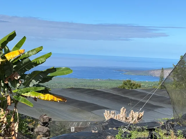 $175,000 | 82 Bruner Road, Captain Cook, HI 96704