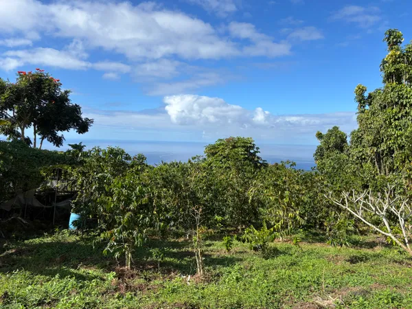 $175,000 | 82 Bruner Road, Captain Cook, HI 96704