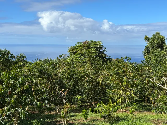 $175,000 | 82 Bruner Road, Captain Cook, HI 96704