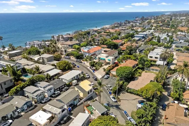 a plant that is sitting in front of a house