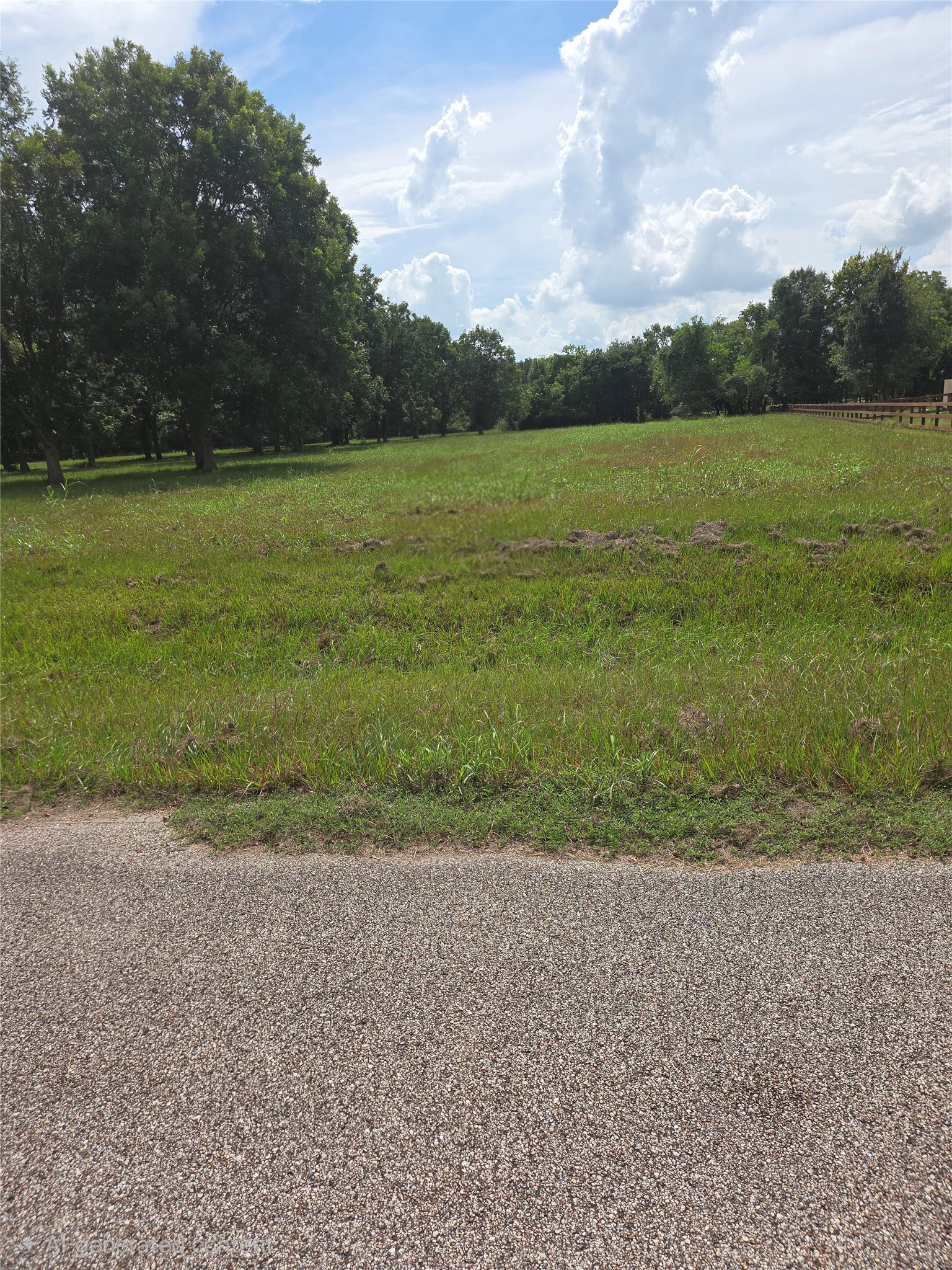 16834 Wrangler Road Rosharon, TX 77583 - Photo 1 of 7 Expansive green landscape with mature trees offers a serene setting, perfect for building your dream home.