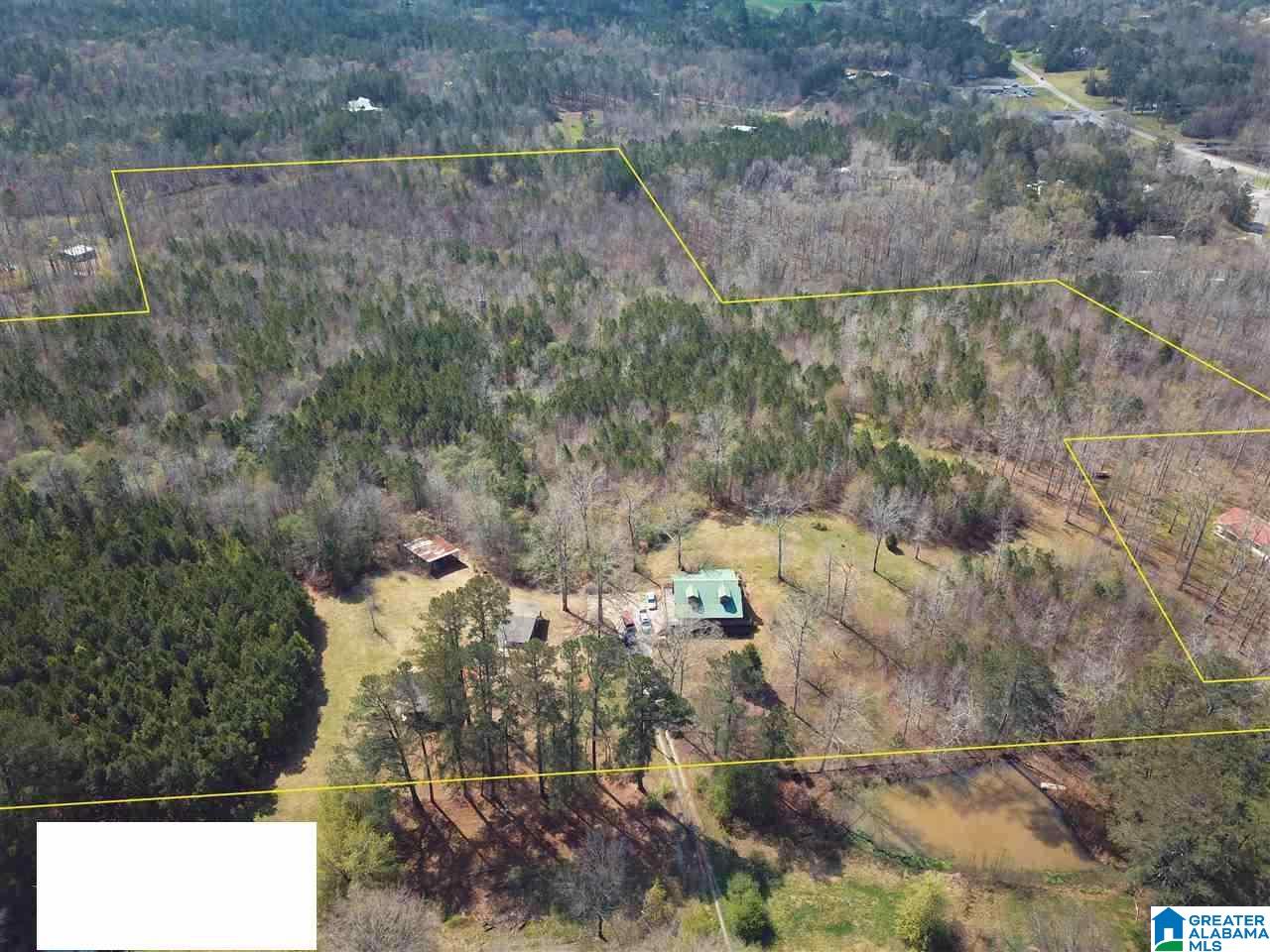 448 Spunky Hollow Road Remlap, AL 35133 - Photo 4 of 50