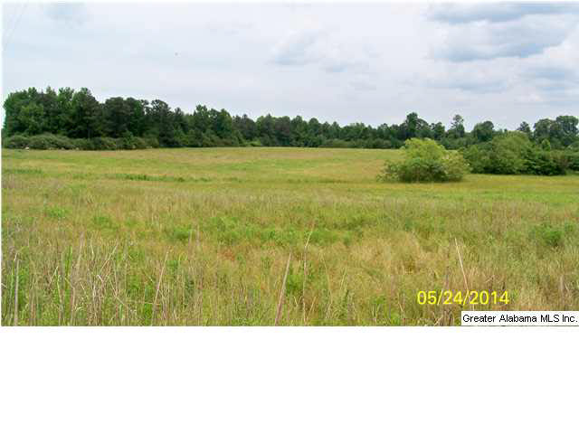 18 County Road, Unit 33 Bremen, AL 35033 - Photo 5 of 9