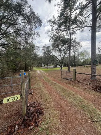 a view of a park with large trees