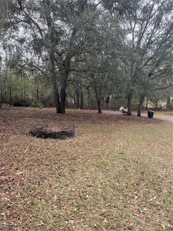 10330 Northeast 90th Street Bronson, FL 32621 - Photo 30 of 31 a view of a yard with a tree