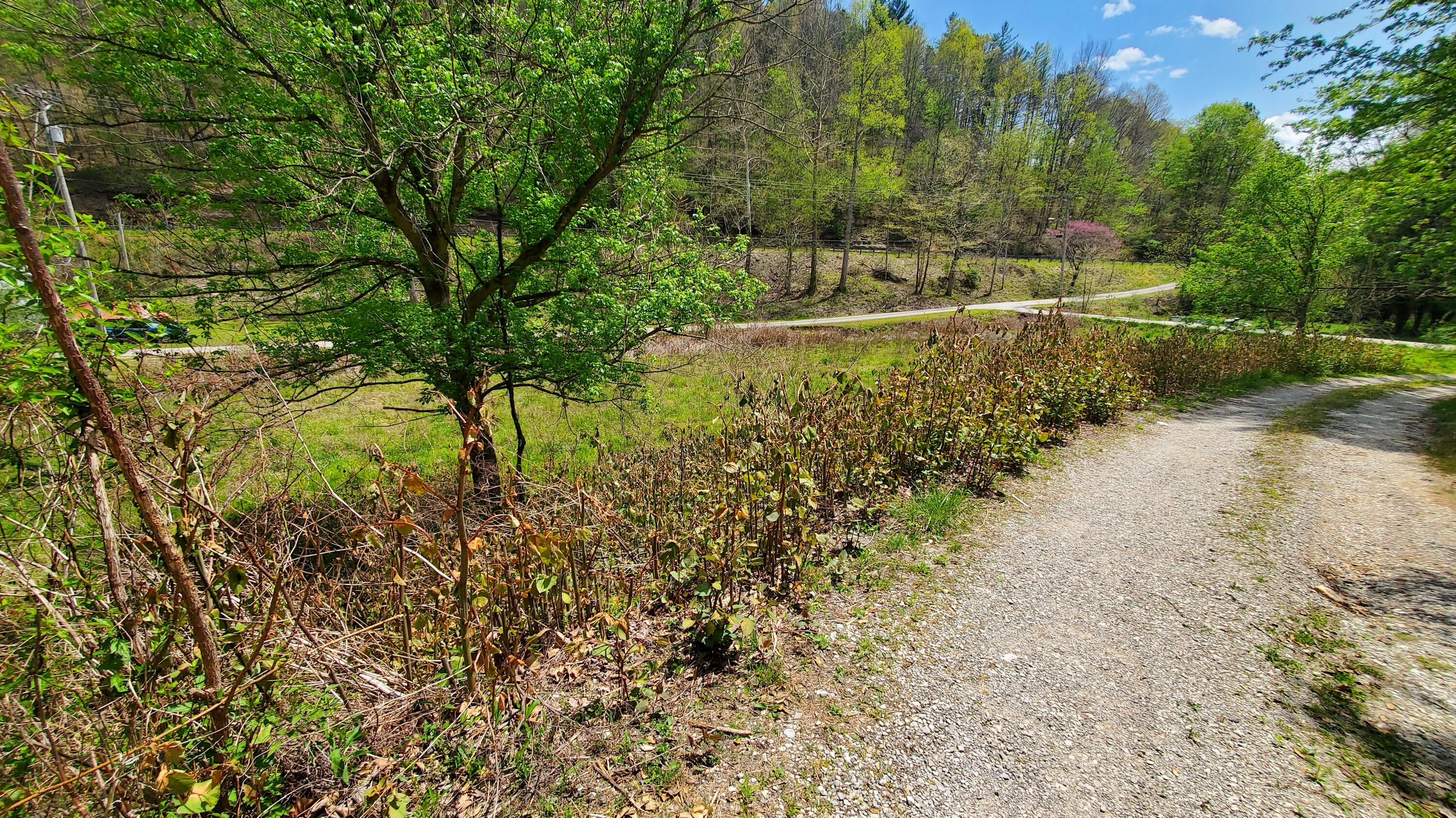51 Old County Road McKee, KY 40447 - Photo 27 of 31 20230426_134100