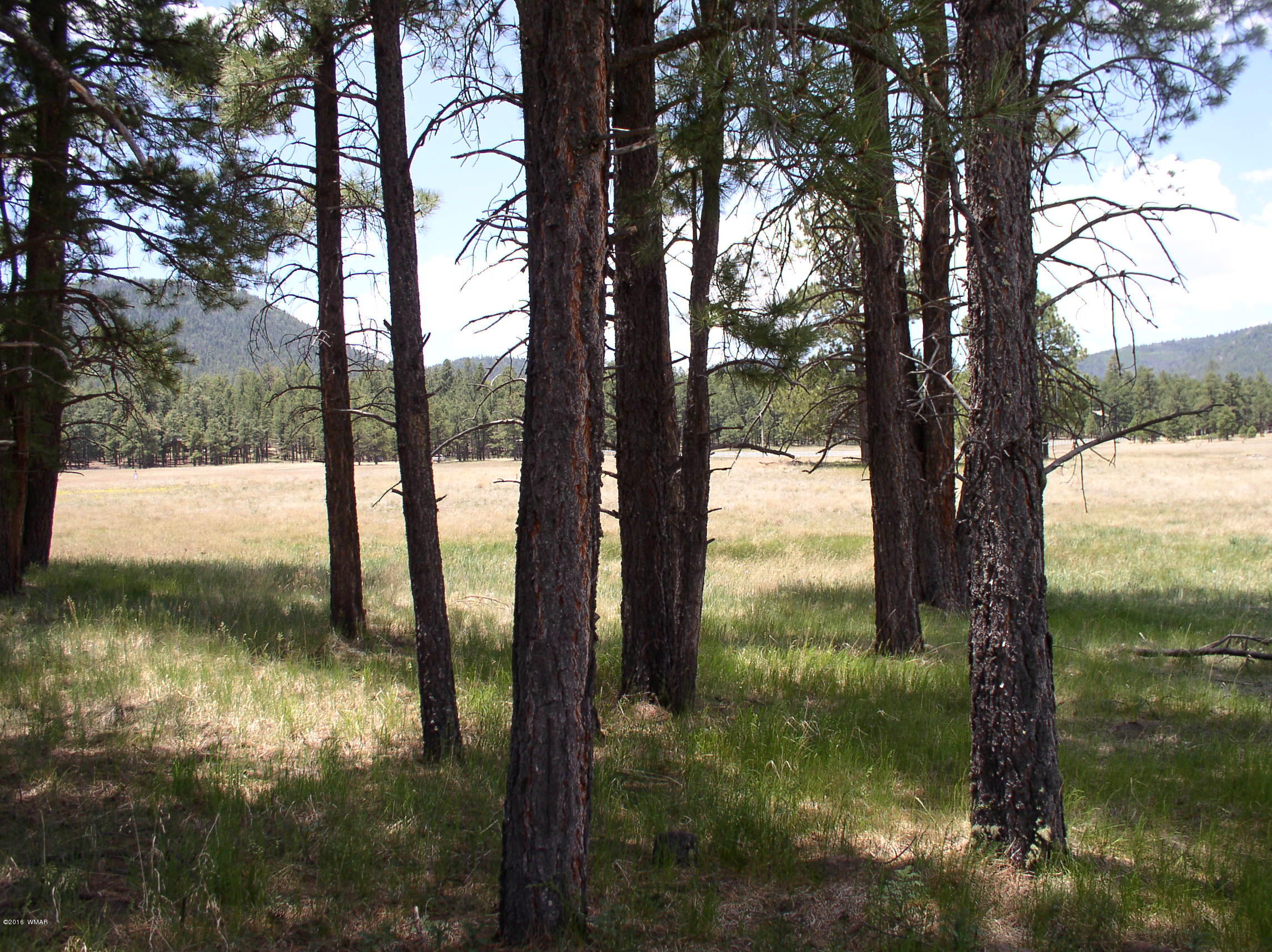 5 Q Co Road Alpine, AZ 85920 - Photo 11 of 27