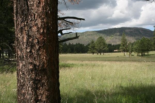 5 Q Co Road Alpine, AZ 85920 - Photo 12 of 27