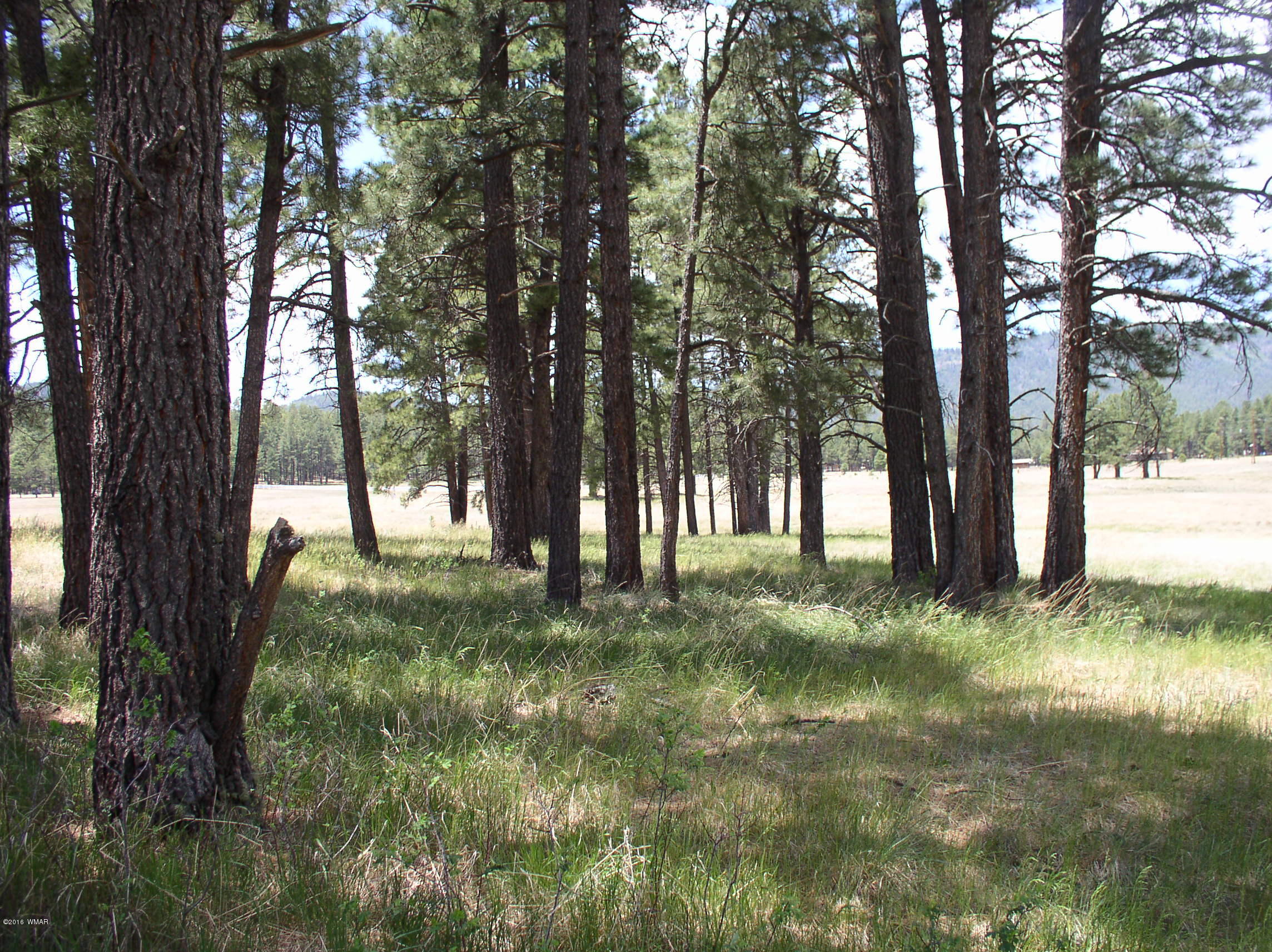 5 Q Co Road Alpine, AZ 85920 - Photo 13 of 27
