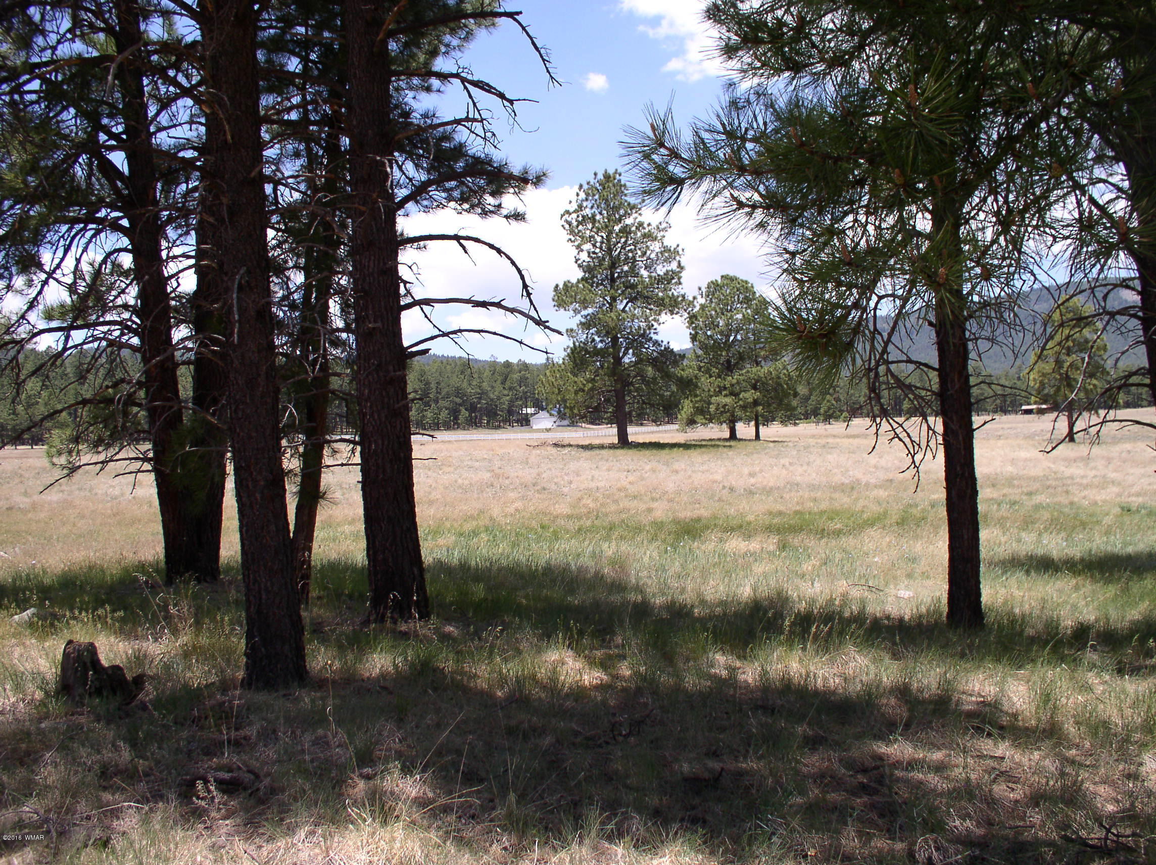 5 Q Co Road Alpine, AZ 85920 - Photo 16 of 27